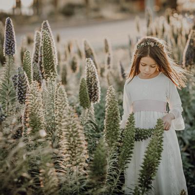 Foto de la colección