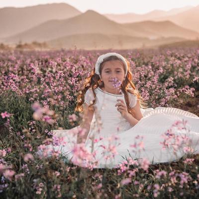 Foto de la colección