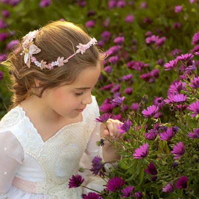 Foto de la colección