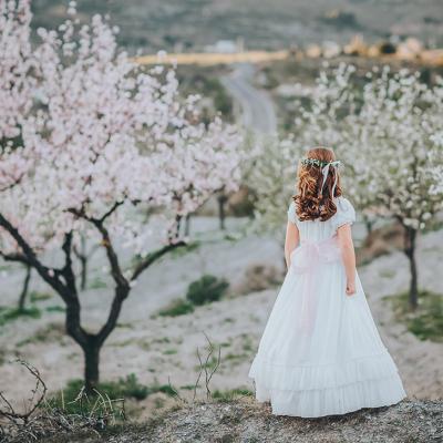 Foto de la colección