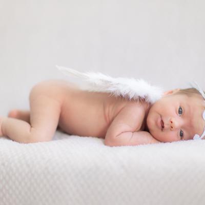 Foto de la colección