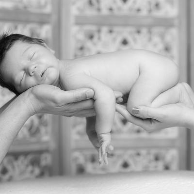 Foto de la colección