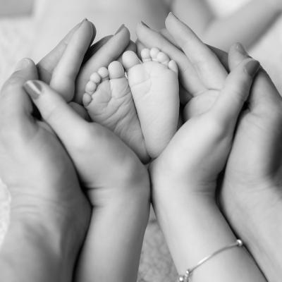 Foto de la colección