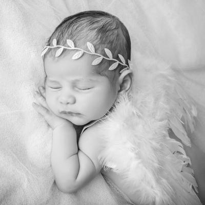 Foto de la colección