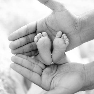 Foto de la colección