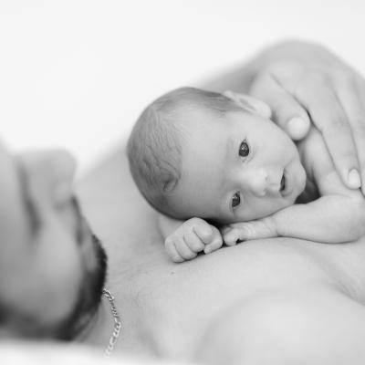 Foto de la colección