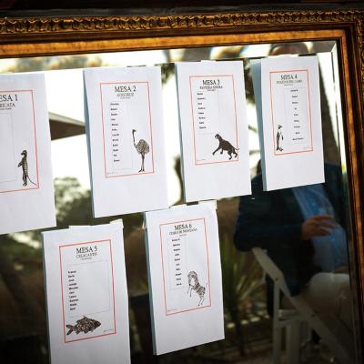 Foto 5 del álbum Marcus & Noemi