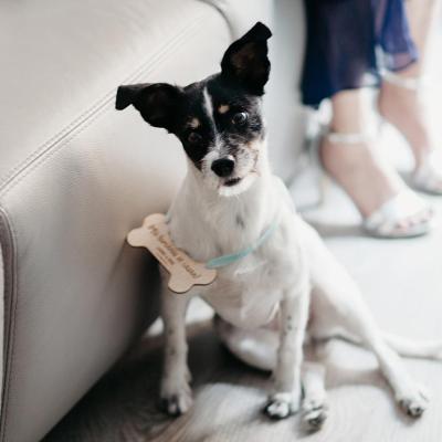 Foto 8 del álbum Laura y Kike