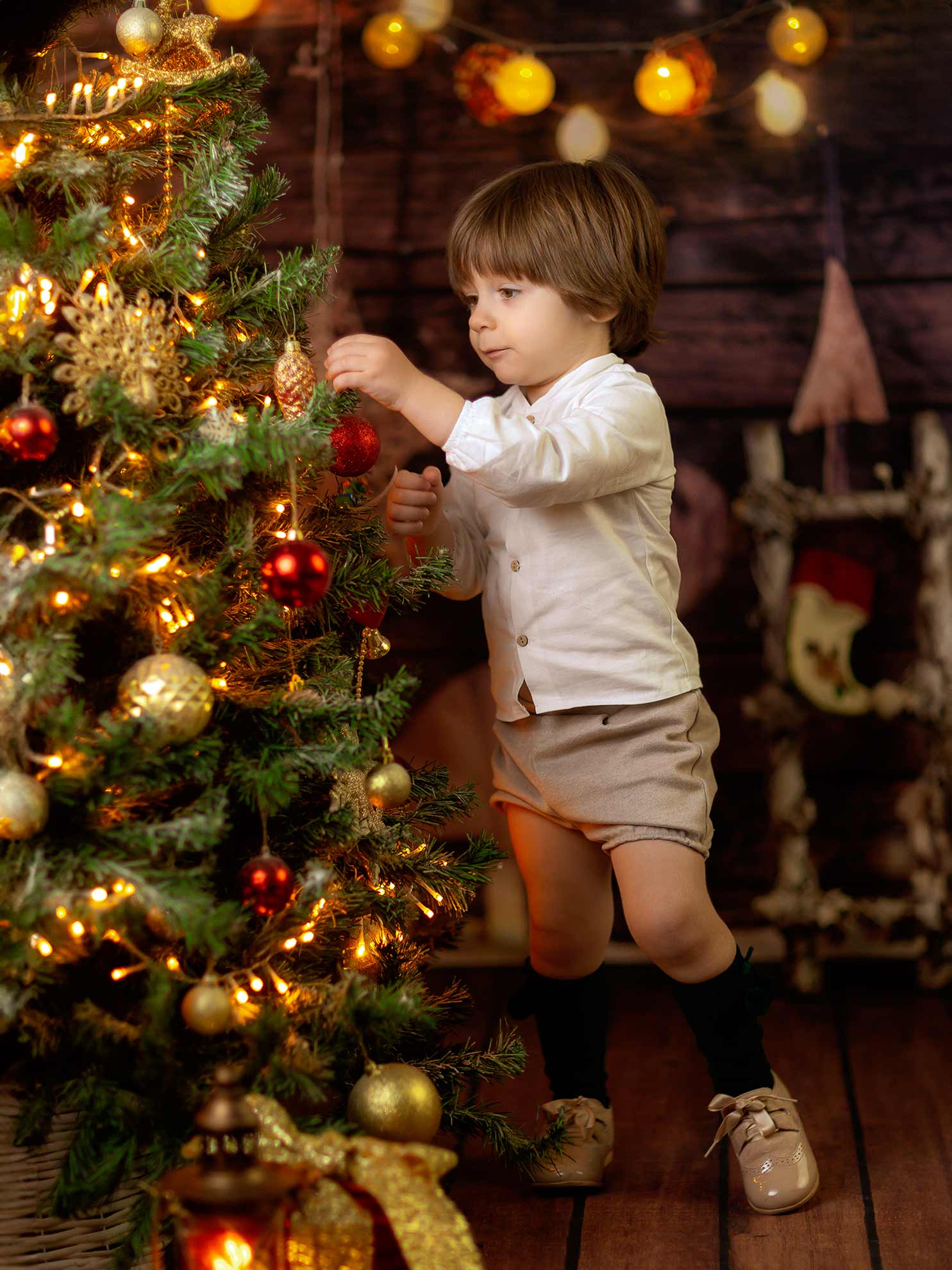 Foto de la colección