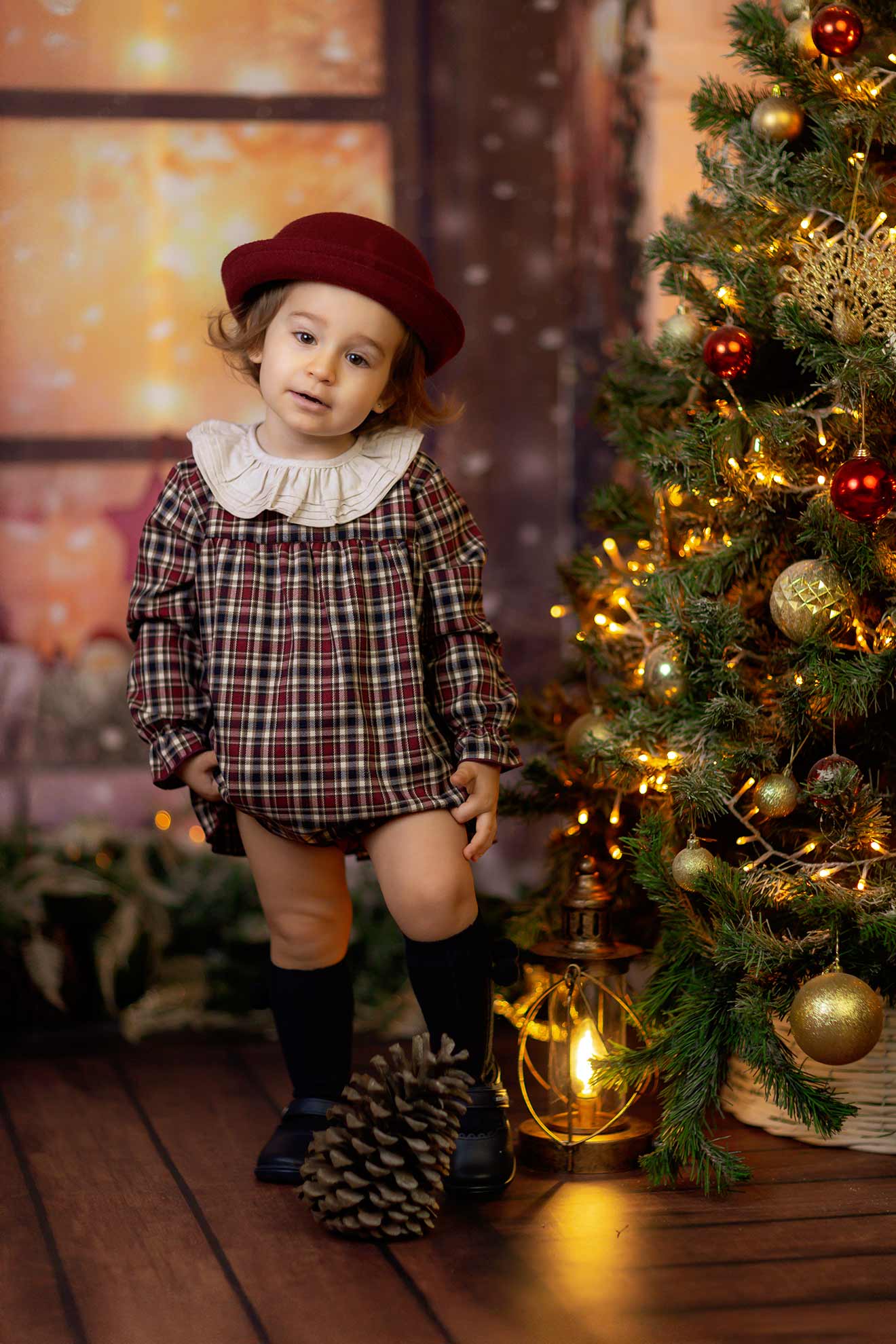 Foto de la colección