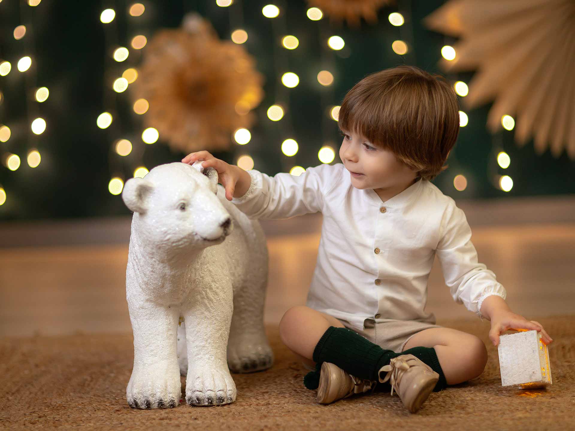 Foto de la colección