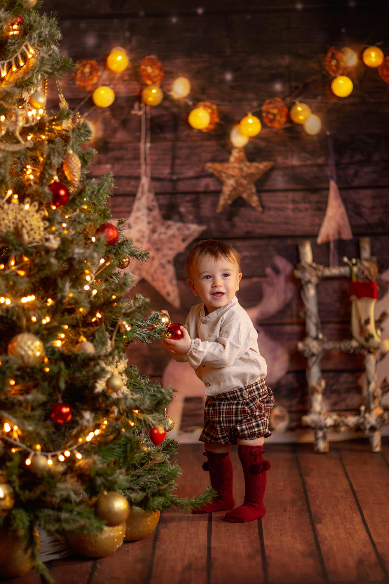 Foto de la colección