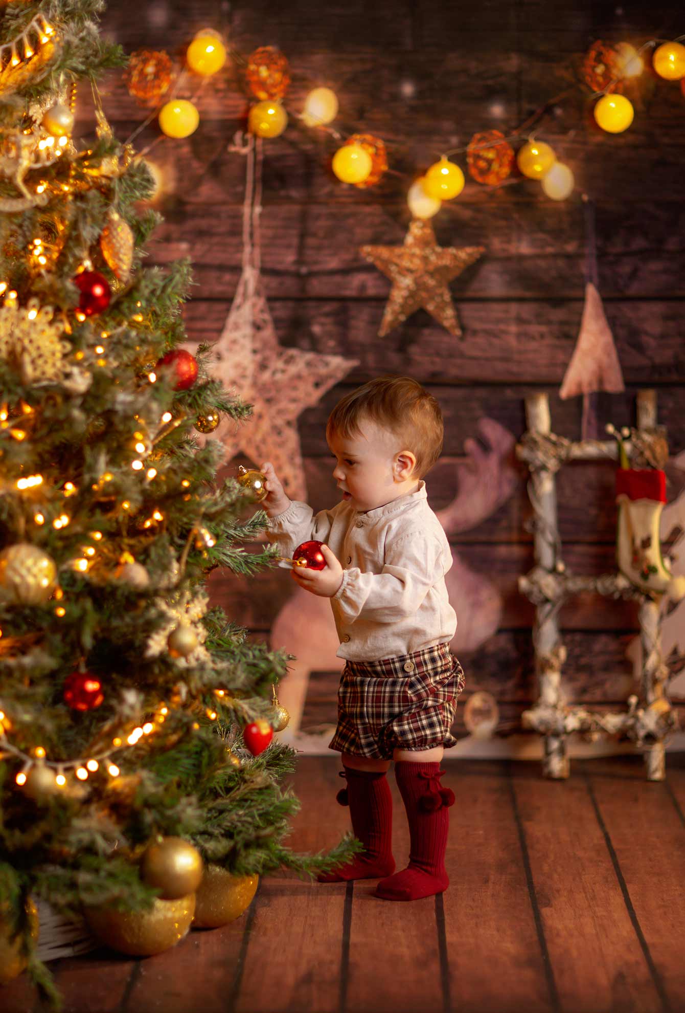 Foto de la colección