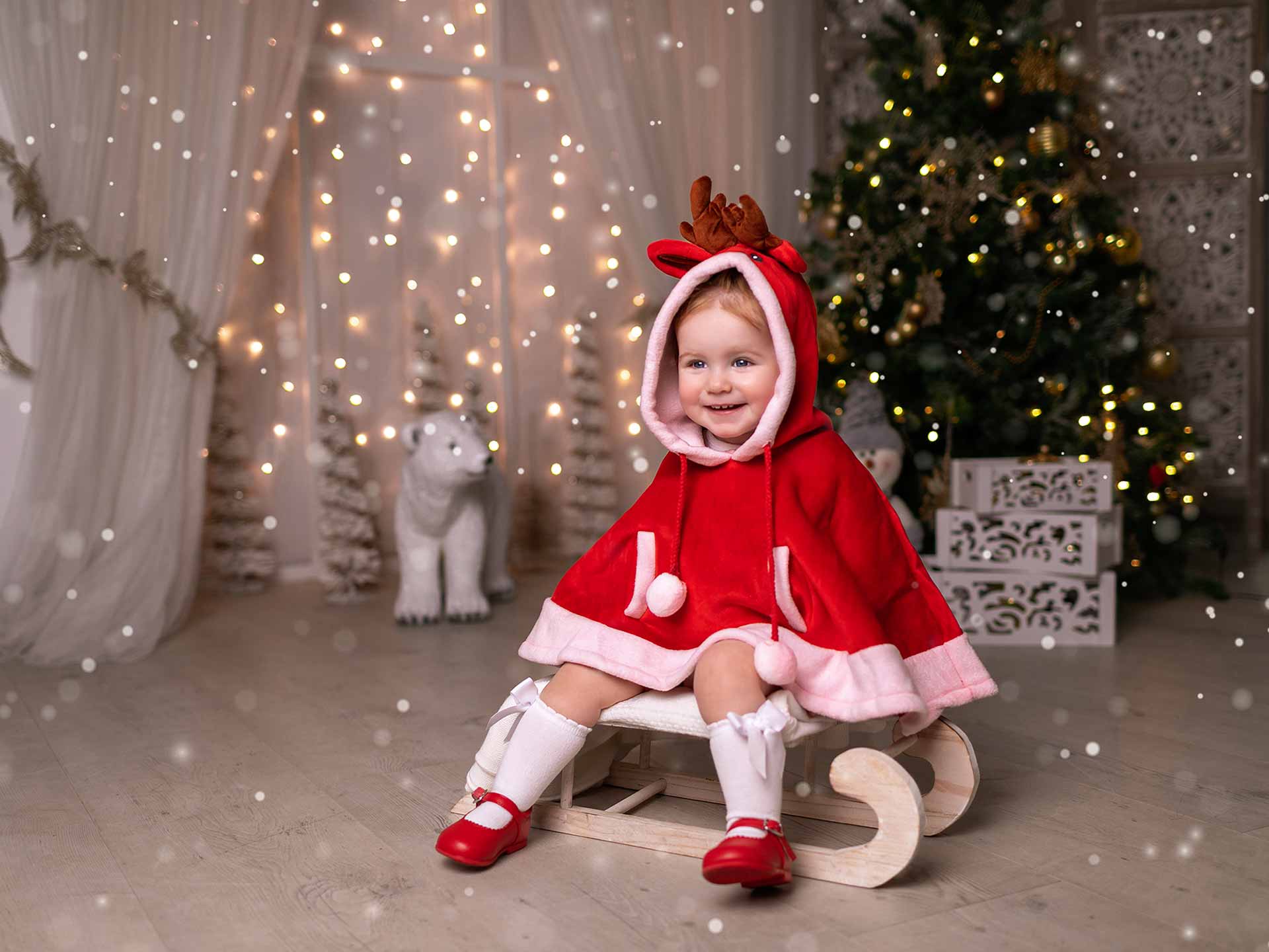 Foto de la colección